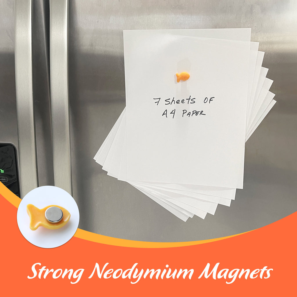 Fridge Magnets