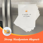 Fridge Magnets