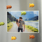 Multicolor Fridge Magnets