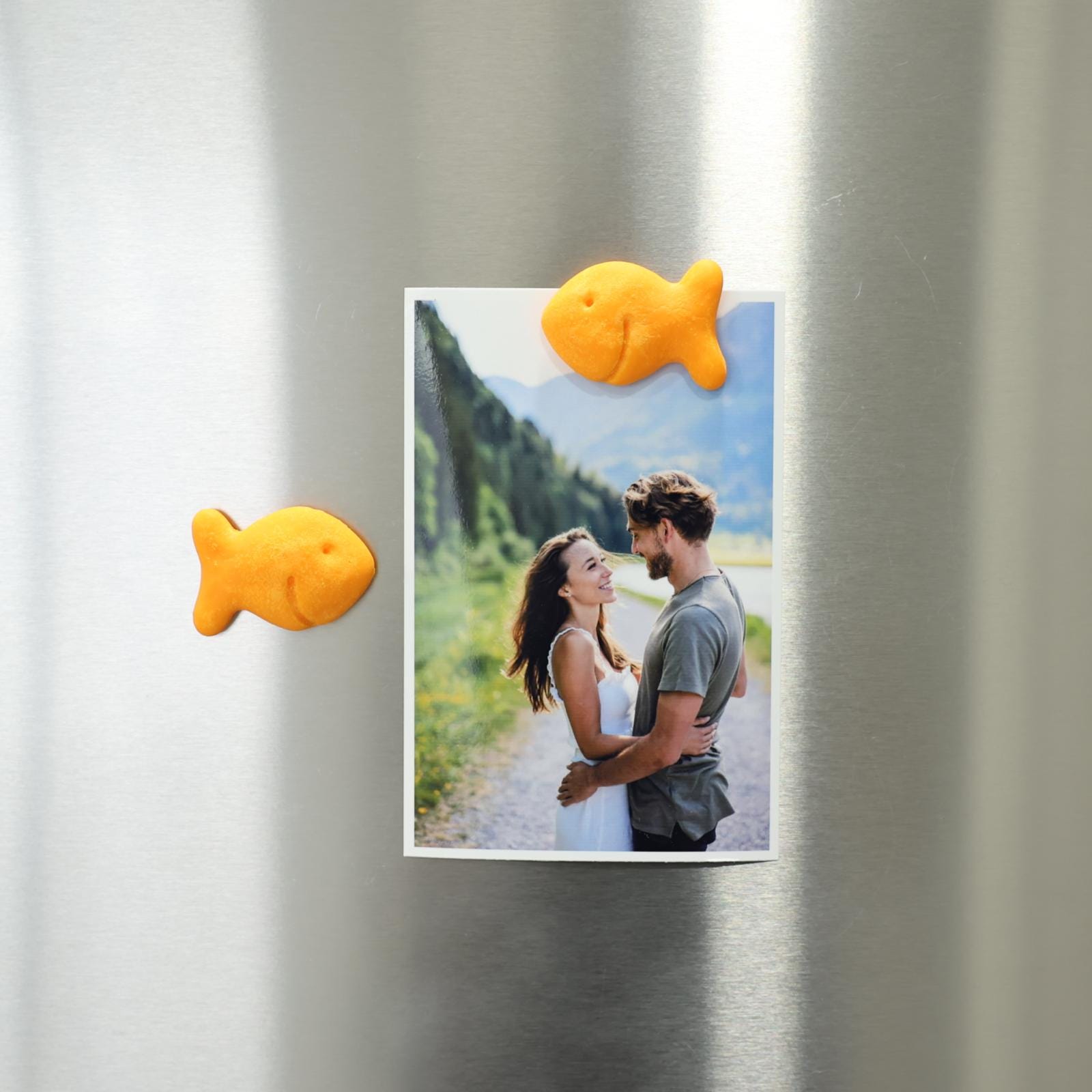 Large Fridge Magnets